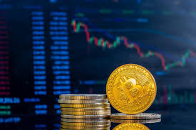 Как войти на сайт BitZamo Casino